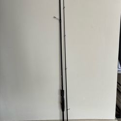 New Fishing Pole