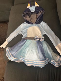 Bluey costume with original bluey basket