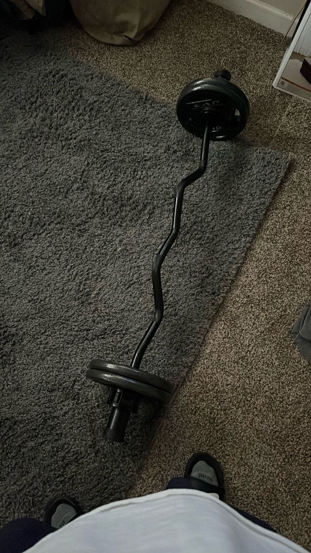 Olympic Curl Bar
