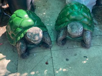 Tortugas de cemento