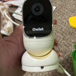 Owlet camera