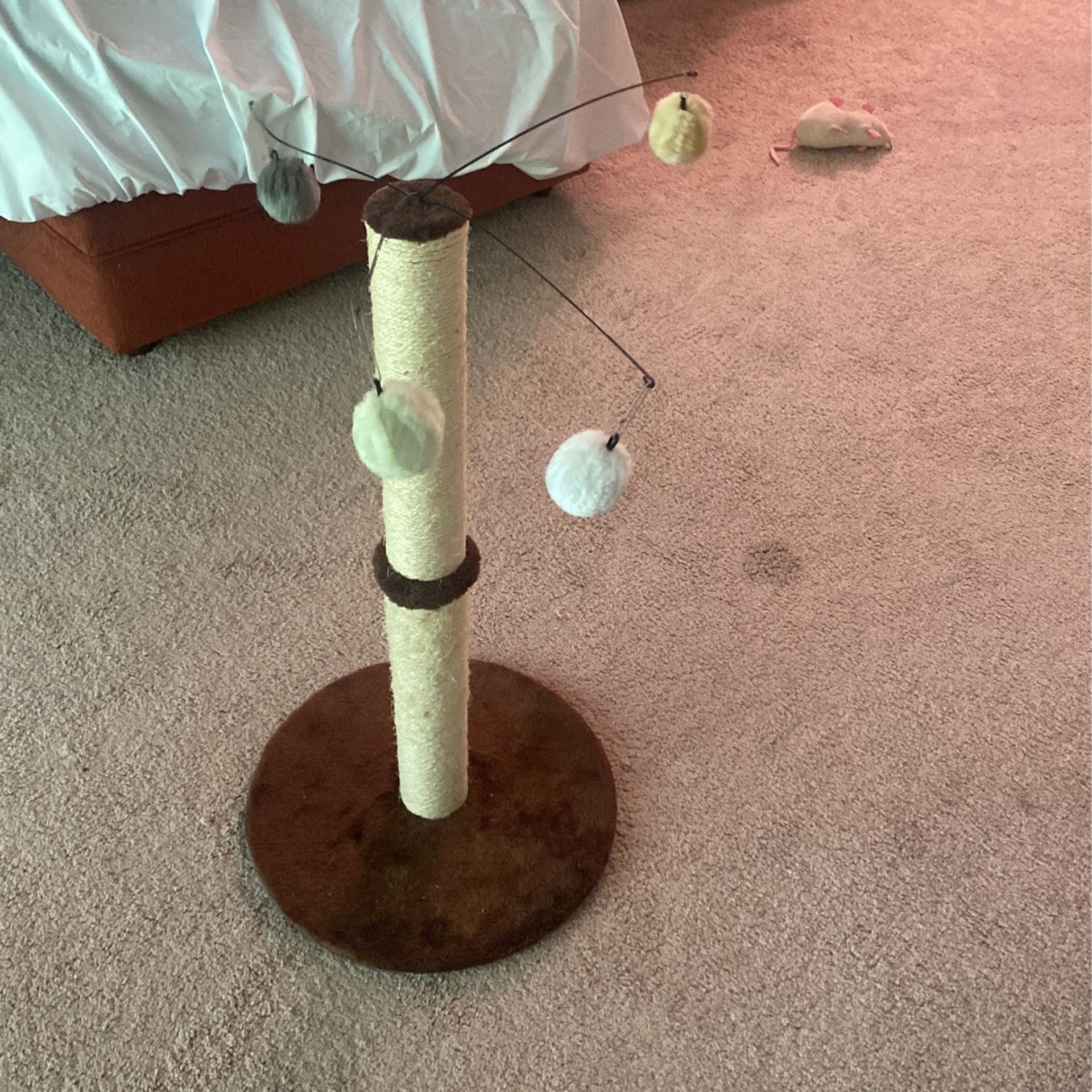 Cat Scratching post