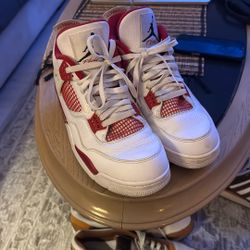 Jordan 4 Alternative 89 Size 11