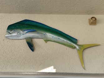 Large half mount mahi replica