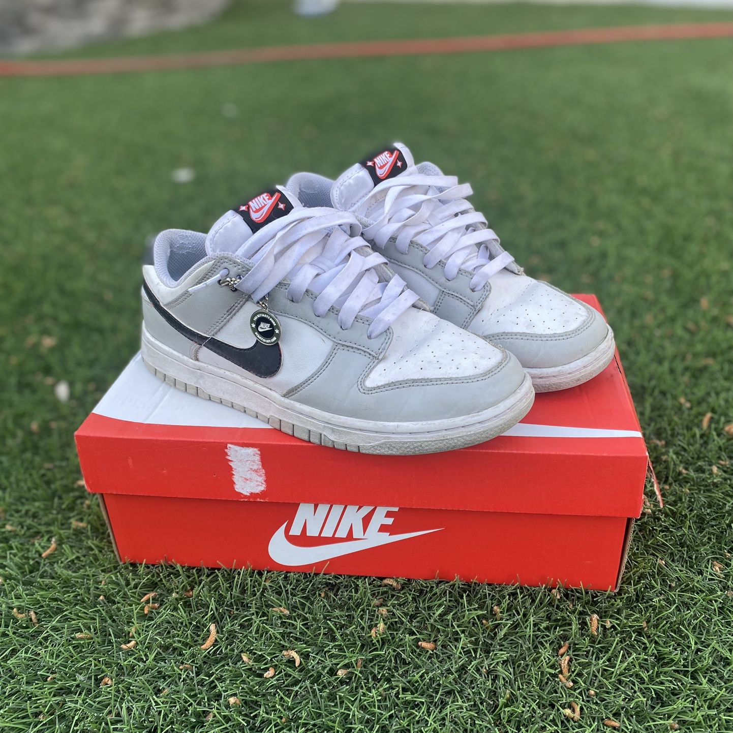 Nike Dunk Low SE 