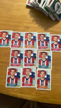 Norway panini sticker team