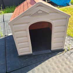 Dog House 