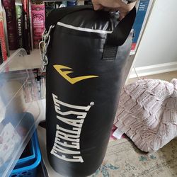 75lbs Punching Bag