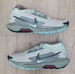 Nike Pegasus Trail 5 GORE-TEX Waterproof Trail Shoe FQ0908-013 Mens Size 6/Womens  Size 7.5