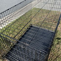 15 Medium Cages 36” ( $60 Each)