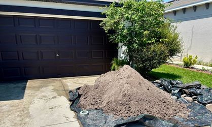 Free soil