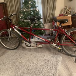 New Two Person Bike