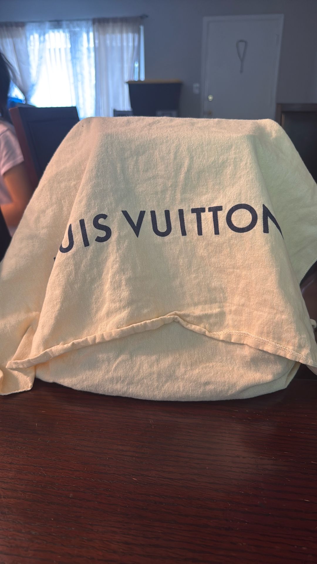Louis Vuitton Bag Original