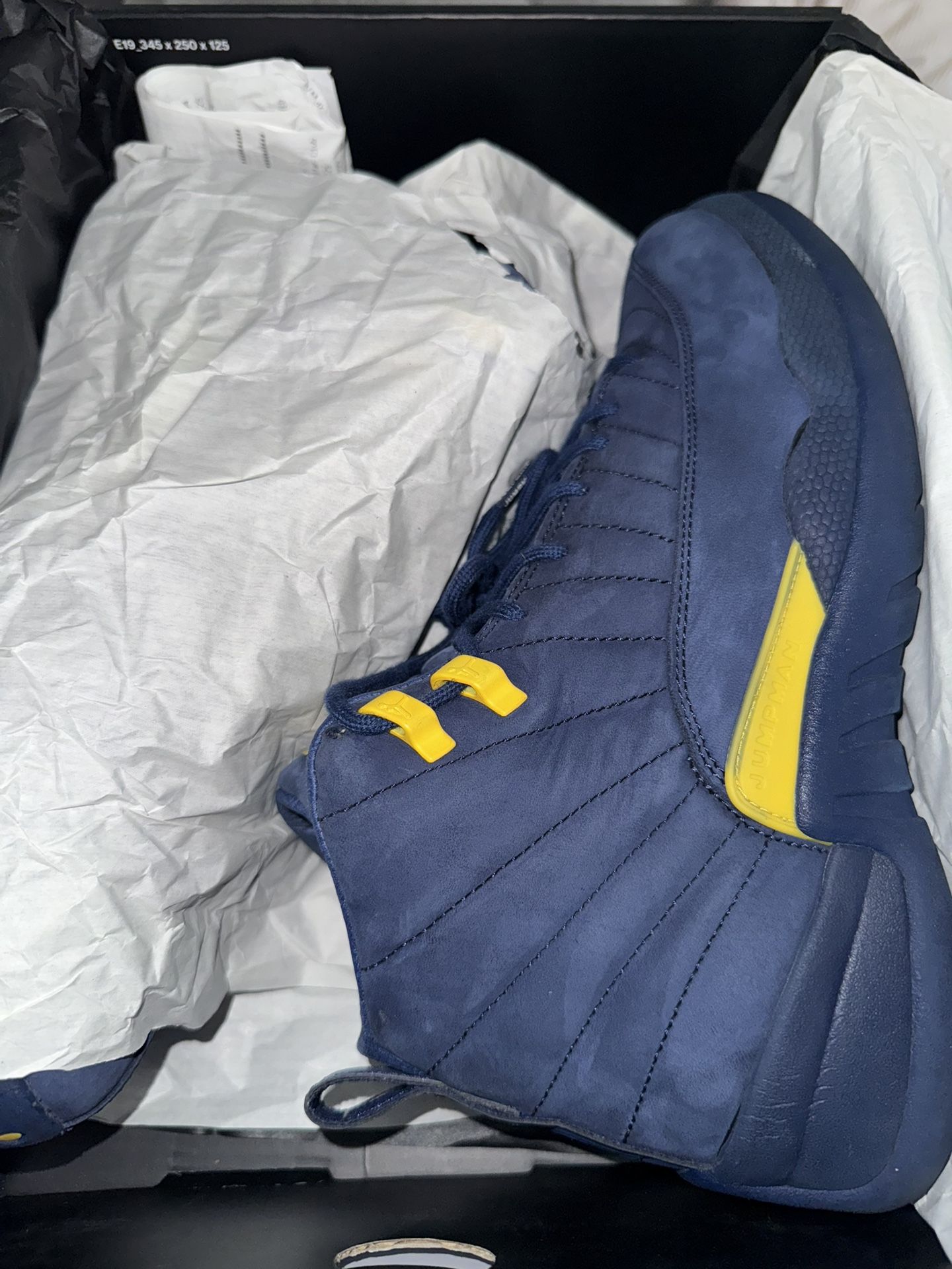 Retro 12 Michigan