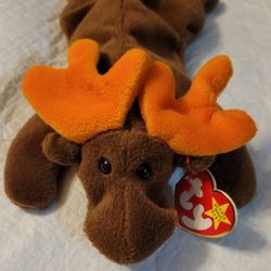 Ty Chocolate the Moose Beanie Baby