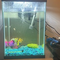 10 Gallon Fish Tank