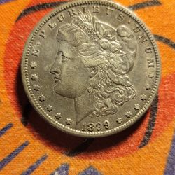 1899 Morgan Dollar 