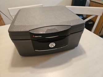 Sentry lock box