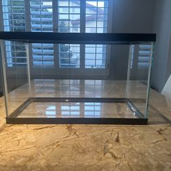 10 Gallon  Fish/amphibian Tank 