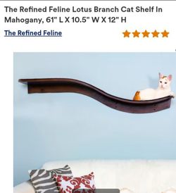 Refined Cat Branch