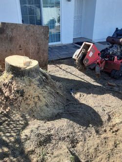 Stump Grinder Removal 