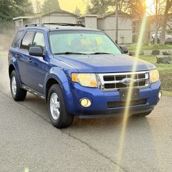 2008 Ford Escape XLT