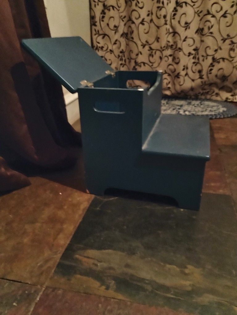 Step Stool/Storage