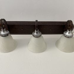 Hampton Bay 3 Lights Bathroom Lights