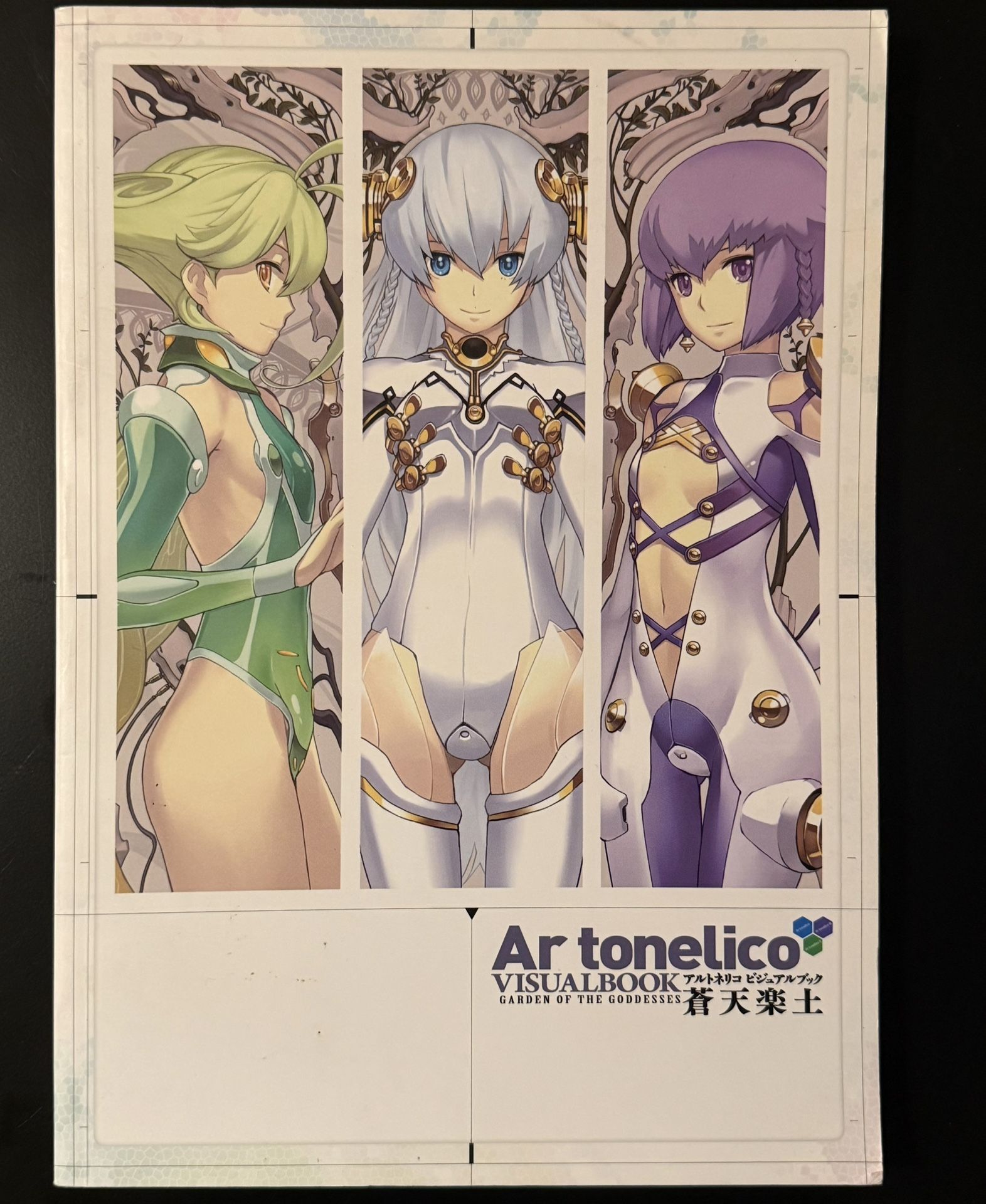 AR TONELICO PS2 Official Art Book Aoten Rakudo Art Works Illustration 2010 Japan