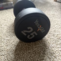 25lb Dumbbell 