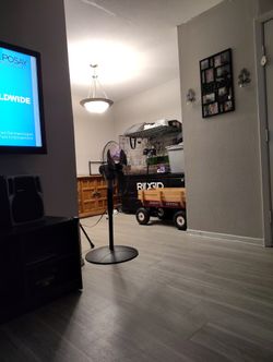 Iguana, Iguana Cage, Ridgid Tool Box, Radio Flyer Wagon