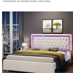 Bed Frame 
