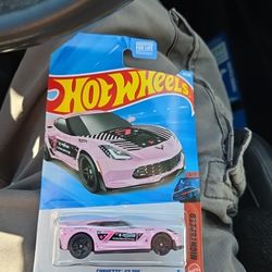 Sports Card Show  hot Wheels pokemon vintage cards moose lodge