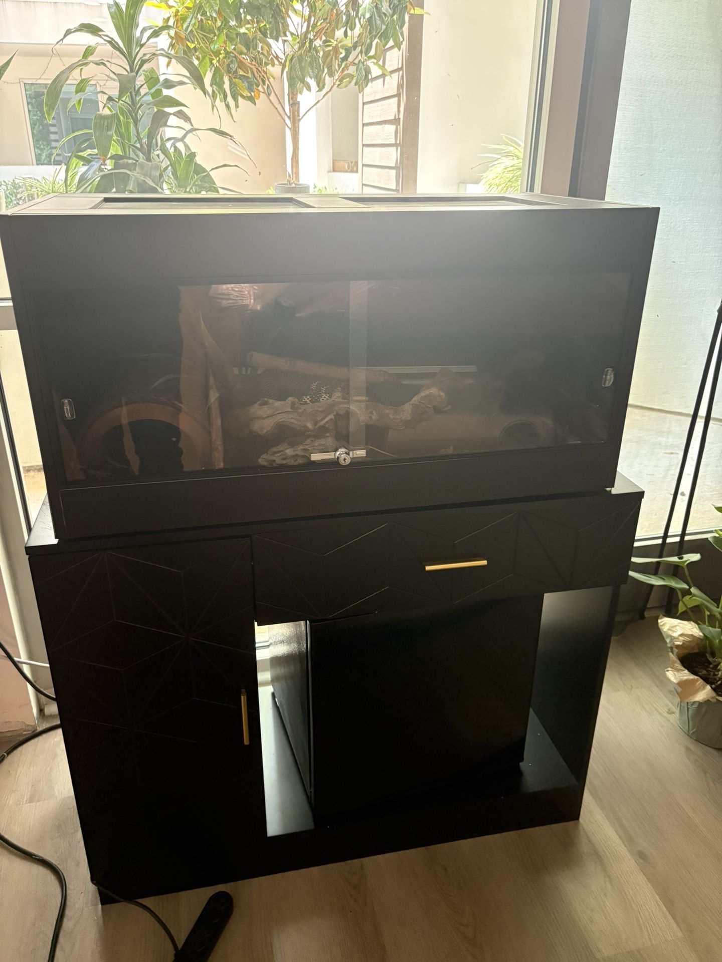 Cage And Stand