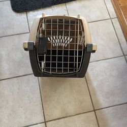 Small Pet Taxi 