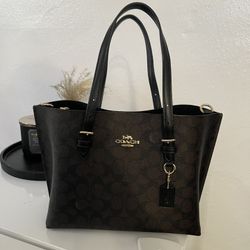 Coach Mollie Tote Bag 