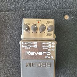 BOSS RV-6 Digital Delay/Reverb Pedal