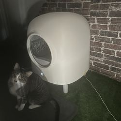 Petree Self Cleaning Cat Litter Box