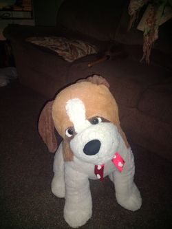 Dog toy