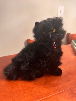 Cat Trigger Object - Paranormal equipment