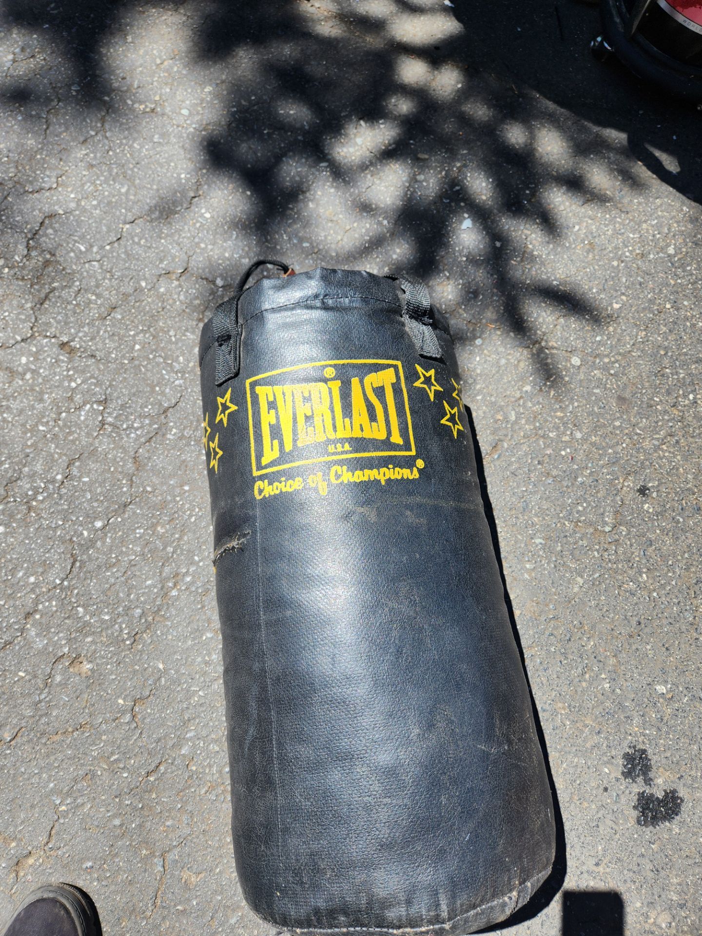 Everlast Punching Bag 35 Lb
