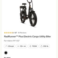 Rad Power Radrunner Electric Bike