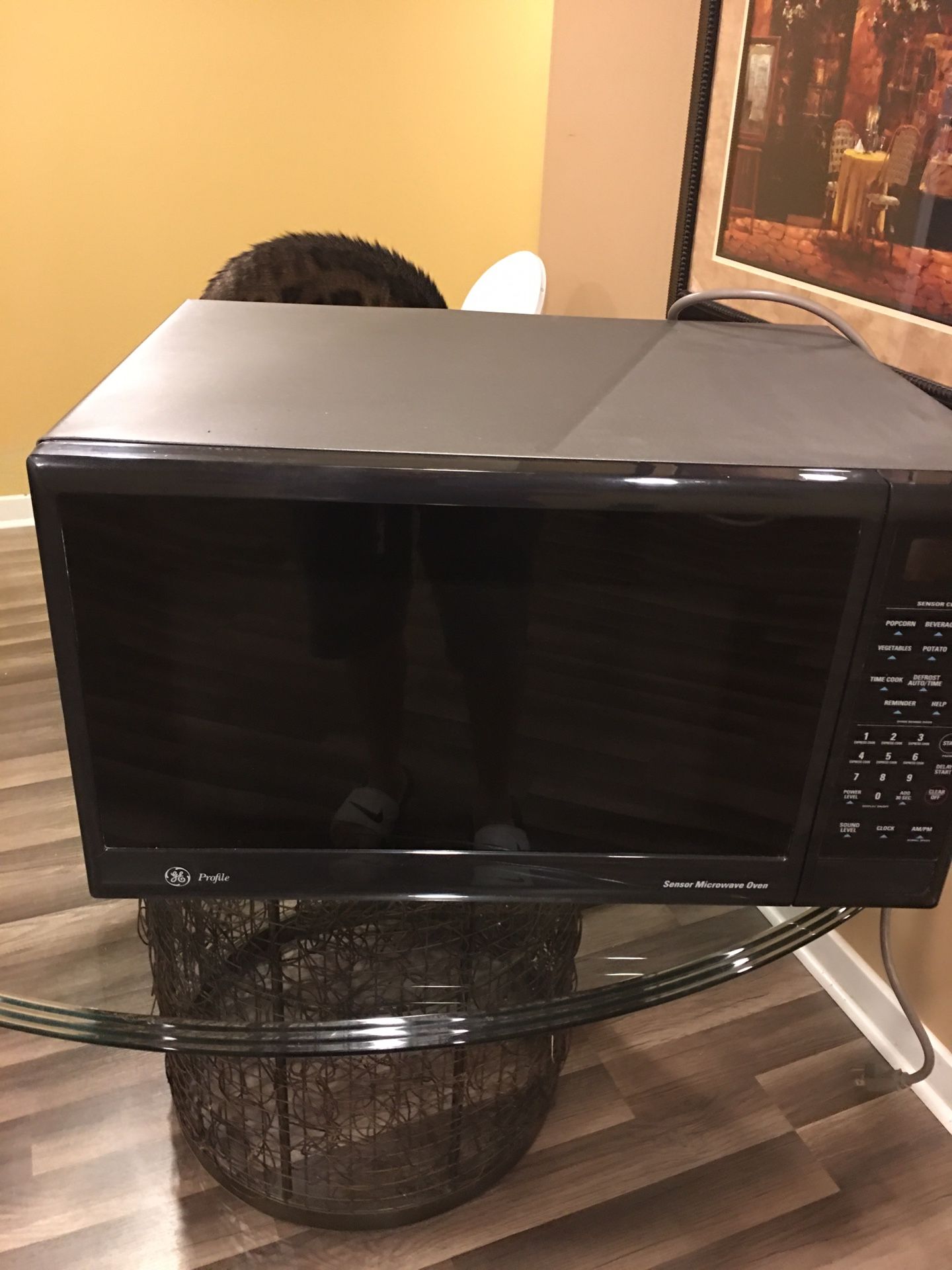 GE Profile Microwave w/trim kit