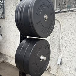 Rogue mil spec bumper plate weights for sale