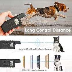 Shock collars for clearance sale