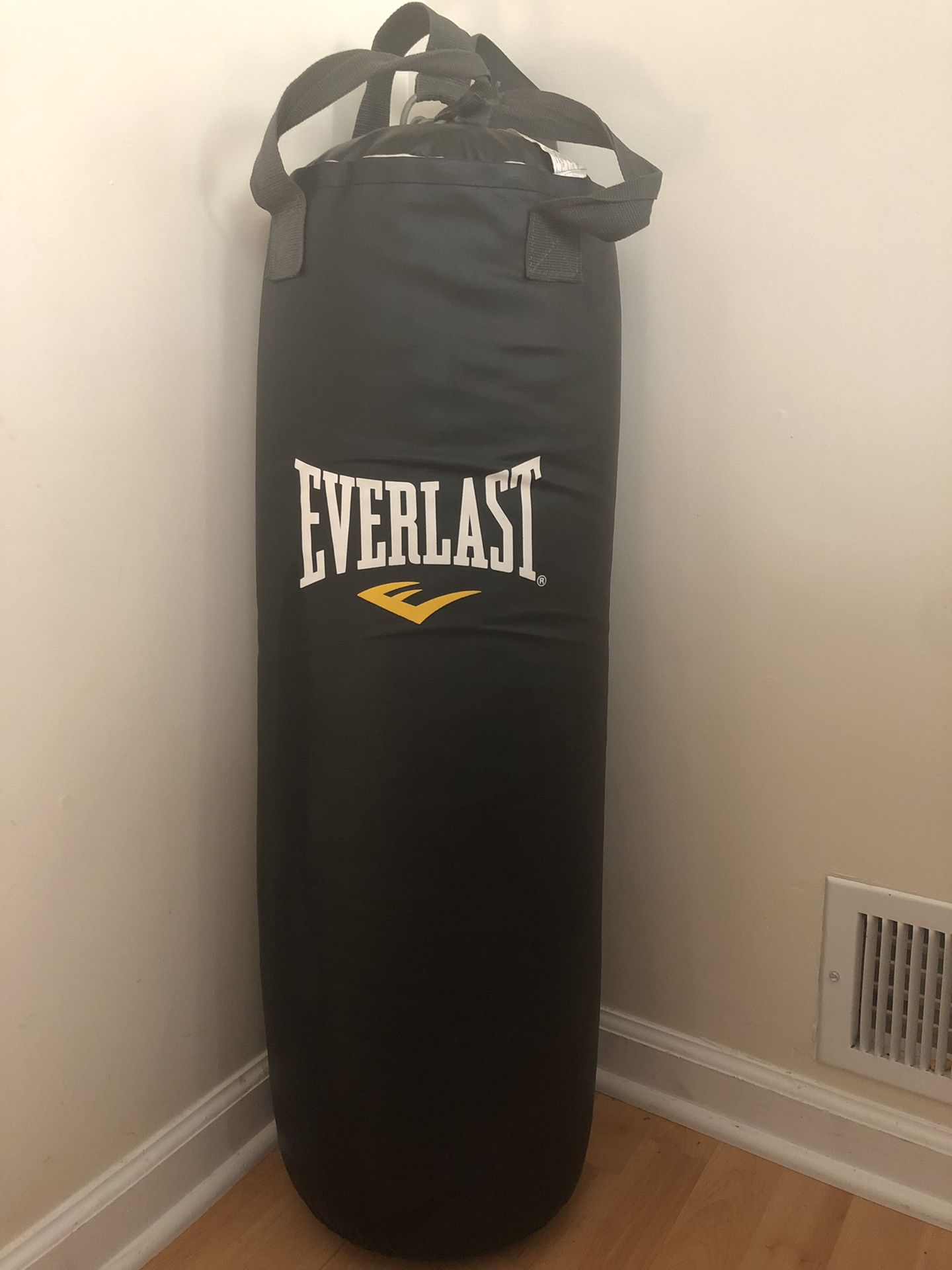 Everlast punching bag / heavy bag