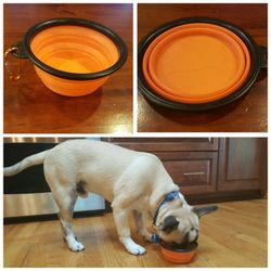 Collapsible dog bowls ** 8 different colors**