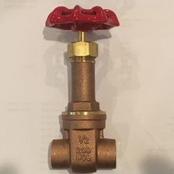 10 LONG NECK 1/2” GATE VALVES