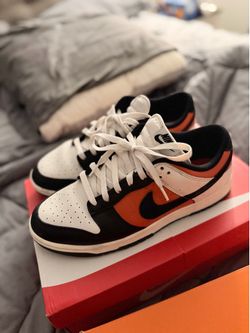 Nike dunks men 9.5