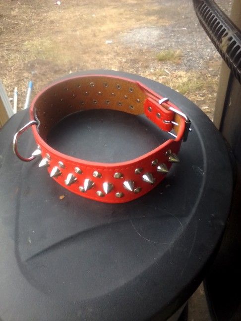 Dog Collar